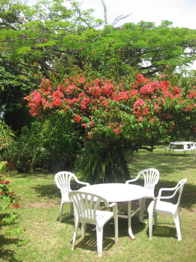 Hotel Santo Vanuatu لوجنفيل الغرفة الصورة